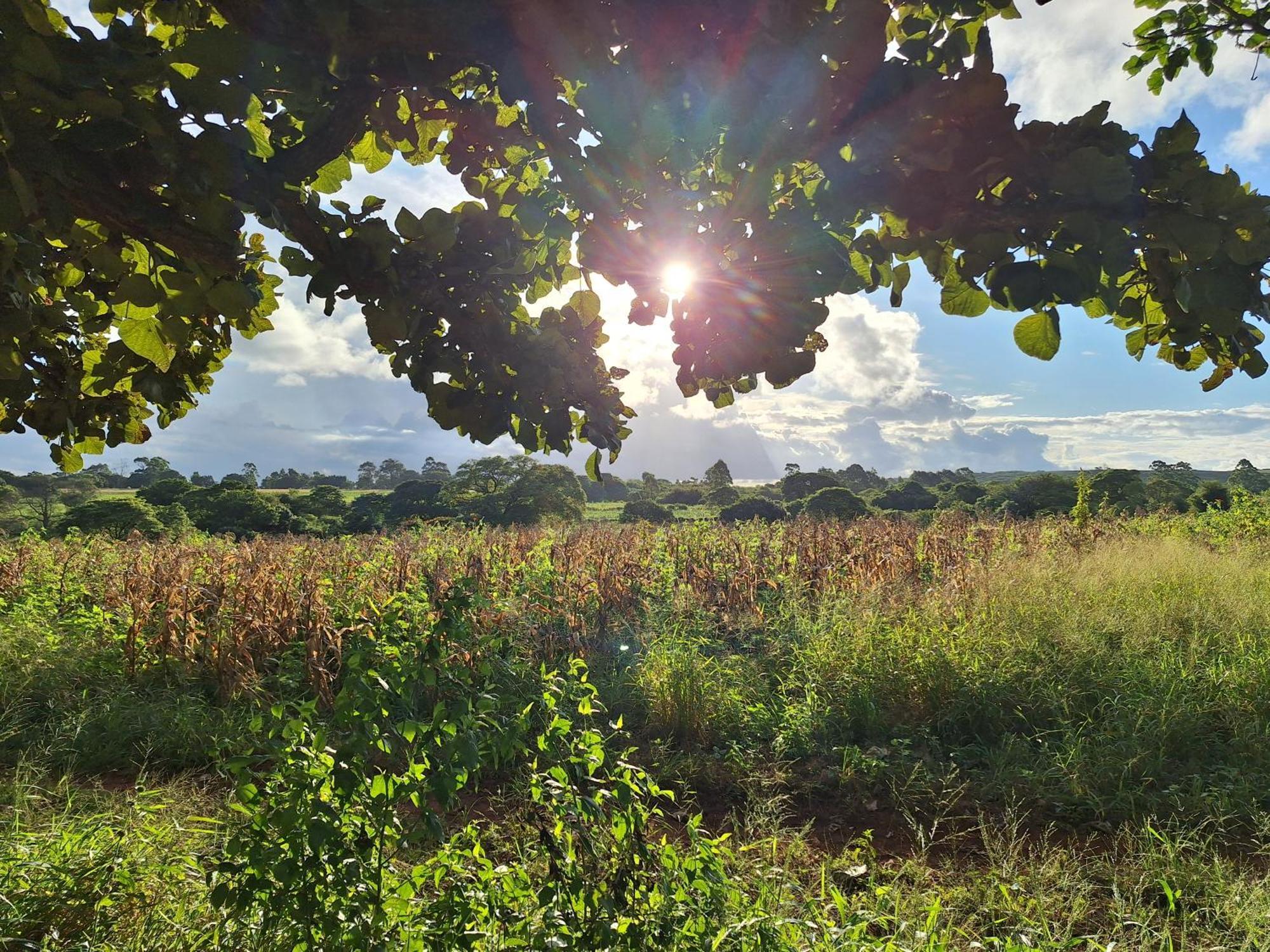 Mabuda Guest Farm Siteki Екстериор снимка